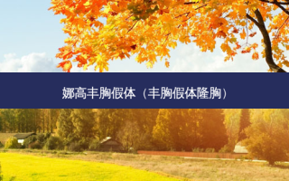 娜高丰胸假体（丰胸假体隆胸）