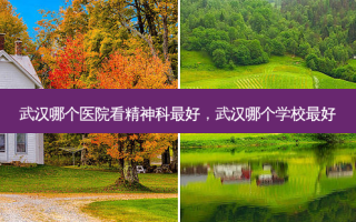 武汉哪个医院看精神科 *** ，武汉哪个学校 *** 
