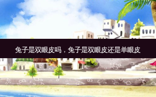 兔子是双眼皮吗，兔子是双眼皮还是单眼皮