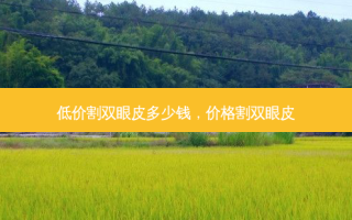 低价割双眼皮多少钱，价格割双眼皮