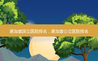 新加坡国立医院排名，新加坡公立医院排名