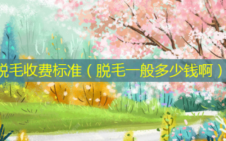 脱毛收费标准（脱毛一般多少钱啊）