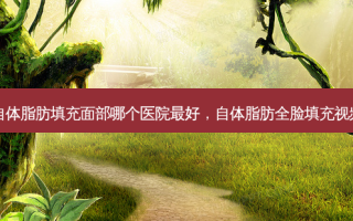 自体脂肪填充面部哪个医院 *** ，自体脂肪全脸填充视频