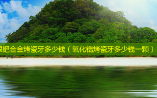 银钯合金烤瓷牙多少钱（氧化锆烤瓷牙多少钱一颗）