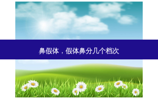 鼻假体，假体鼻分几个档次