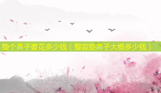 垫个鼻子要花多少钱(整容垫鼻子大概多少钱)-第1张图片-美选资讯网 垫个鼻子要花多少钱(整容垫鼻子大概多少钱)-第1张图片-美选资讯网