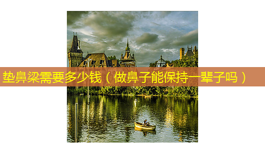垫鼻梁需要多少钱(做鼻子能保持一辈子吗)-第1张图片-美选资讯网 垫鼻梁需要多少钱(做鼻子能保持一辈子吗)-第1张图片-美选资讯网