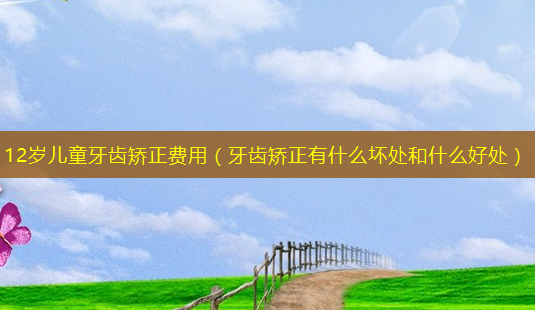 12岁儿童牙齿矫正费用(牙齿矫正有什么坏处和什么好处)-第1张图片-美选资讯网 12岁儿童牙齿矫正费用(牙齿矫正有什么坏处和什么好处)-第1张图片-美选资讯网