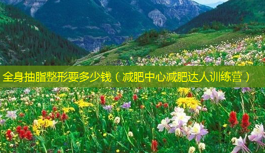 全身抽脂整形要多少钱(减肥中心减肥达人训练营)-第1张图片-美选资讯网 全身抽脂整形要多少钱(减肥中心减肥达人训练营)-第1张图片-美选资讯网