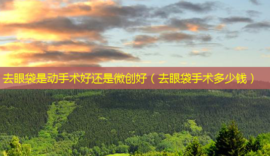 去眼袋是动手术好还是微创好(去眼袋手术多少钱)-第1张图片-美选资讯网 去眼袋是动手术好还是微创好(去眼袋手术多少钱)-第1张图片-美选资讯网
