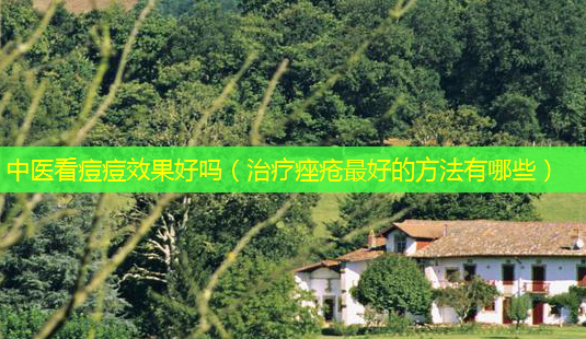 中医看痘痘效果好吗(痤疮好的 *** 有哪些)-第1张图片-美选资讯网 中医看痘痘效果好吗(痤疮好的 *** 有哪些)-第1张图片-美选资讯网
