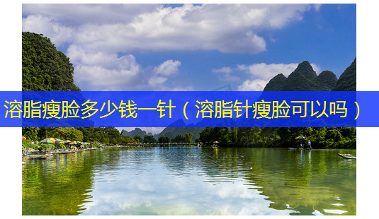 溶脂瘦脸多少钱一针(溶脂针瘦脸可以吗)-第1张图片-美选资讯网 溶脂瘦脸多少钱一针(溶脂针瘦脸可以吗)-第1张图片-美选资讯网