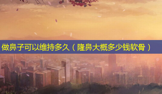 做鼻子可以维持多久(隆鼻大概多少钱软骨)-第1张图片-美选资讯网 做鼻子可以维持多久(隆鼻大概多少钱软骨)-第1张图片-美选资讯网