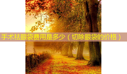 手术祛眼袋费用是多少(切除眼袋的价格)-第1张图片-美选资讯网 手术祛眼袋费用是多少(切除眼袋的价格)-第1张图片-美选资讯网