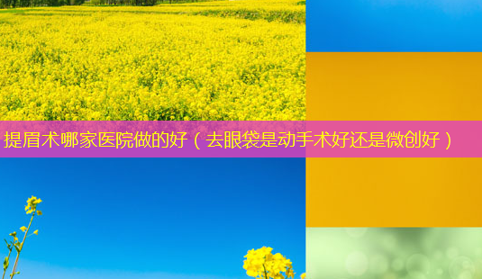 提眉术哪家医院做的好(去眼袋是动手术好还是微创好)-第1张图片-美选资讯网 提眉术哪家医院做的好(去眼袋是动手术好还是微创好)-第1张图片-美选资讯网