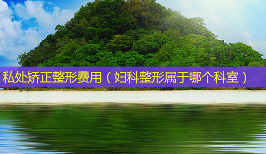 私处矫正整形费用(妇科整形属于哪个科室)-第1张图片-美选资讯网 私处矫正整形费用(妇科整形属于哪个科室)-第1张图片-美选资讯网