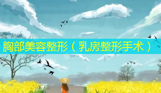 胸部美容整形( *** 整形手术)-第1张图片-美选资讯网 胸部美容整形( *** 整形手术)-第1张图片-美选资讯网