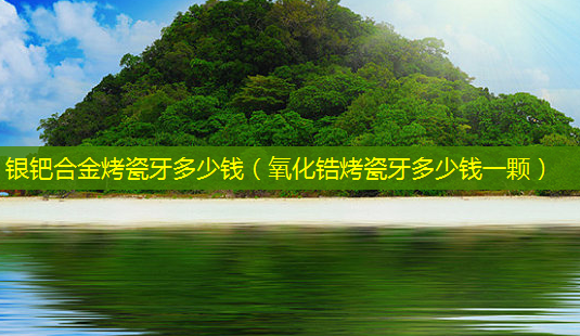 银钯合金烤瓷牙多少钱(氧化锆烤瓷牙多少钱一颗)-第1张图片-美选资讯网 银钯合金烤瓷牙多少钱(氧化锆烤瓷牙多少钱一颗)-第1张图片-美选资讯网