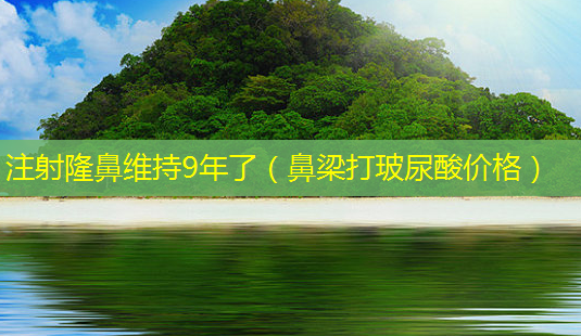 注射隆鼻维持9年了(鼻梁打玻尿酸价格)-第1张图片-美选资讯网 注射隆鼻维持9年了(鼻梁打玻尿酸价格)-第1张图片-美选资讯网