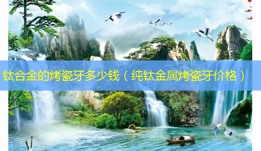 钛合金的烤瓷牙多少钱(纯钛金属烤瓷牙价格)-第1张图片-美选资讯网 钛合金的烤瓷牙多少钱(纯钛金属烤瓷牙价格)-第1张图片-美选资讯网