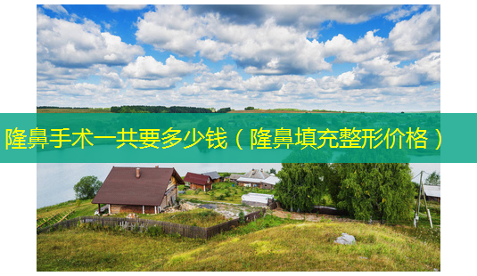 隆鼻手术一共要多少钱(隆鼻填充整形价格)-第1张图片-美选资讯网 隆鼻手术一共要多少钱(隆鼻填充整形价格)-第1张图片-美选资讯网