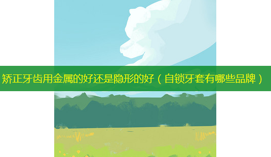 矫正牙齿用金属的好还是隐形的好(自锁牙套有哪些品牌)-第1张图片-美选资讯网 矫正牙齿用金属的好还是隐形的好(自锁牙套有哪些品牌)-第1张图片-美选资讯网