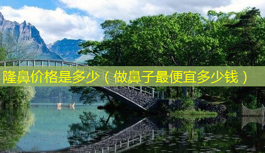 隆鼻价格是多少(做鼻子便宜多少钱)-第1张图片-美选资讯网 隆鼻价格是多少(做鼻子便宜多少钱)-第1张图片-美选资讯网