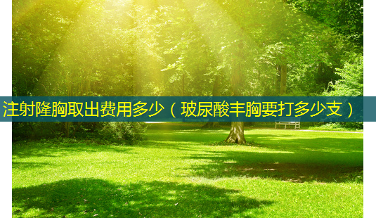 注射隆胸取出费用多少(玻尿酸丰胸要打多少支)-第1张图片-美选资讯网 注射隆胸取出费用多少(玻尿酸丰胸要打多少支)-第1张图片-美选资讯网