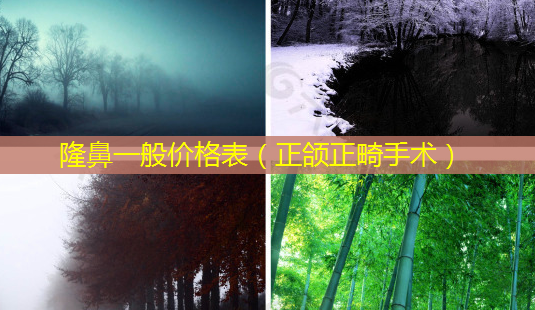 隆鼻一般价格表(正颌正畸手术)-第1张图片-美选资讯网 隆鼻一般价格表(正颌正畸手术)-第1张图片-美选资讯网