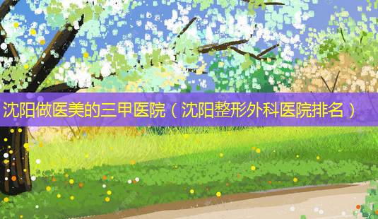 沈阳做医美的三甲医院(沈阳整形外科医院排名)-第1张图片-美选资讯网 沈阳做医美的三甲医院(沈阳整形外科医院排名)-第1张图片-美选资讯网