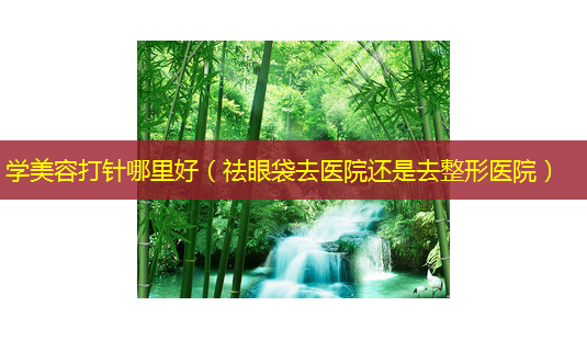 学美容打针哪里好(祛眼袋去医院还是去整形医院)-第1张图片-美选资讯网 学美容打针哪里好(祛眼袋去医院还是去整形医院)-第1张图片-美选资讯网