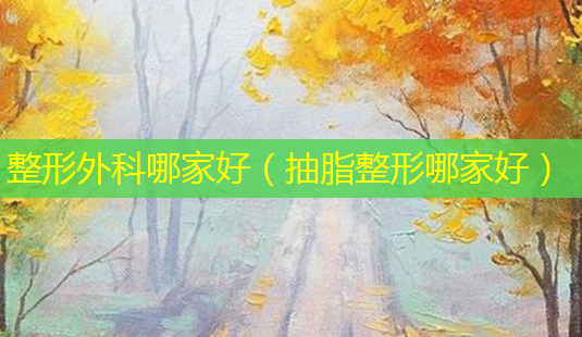 整形外科哪家好(抽脂整形哪家好)-第1张图片-美选资讯网 整形外科哪家好(抽脂整形哪家好)-第1张图片-美选资讯网