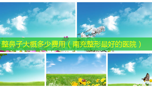 整鼻子大概多少费用(南充整形好的医院)-第1张图片-美选资讯网 整鼻子大概多少费用(南充整形好的医院)-第1张图片-美选资讯网