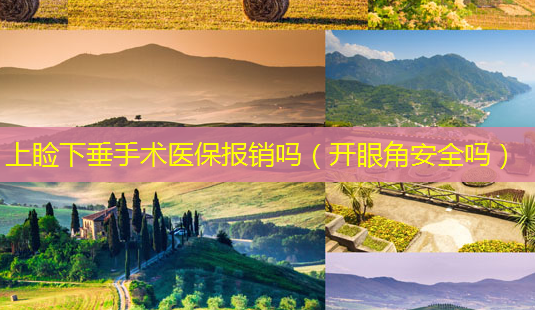 上睑下垂手术医保报销吗(开眼角 *** 吗)-第1张图片-美选资讯网 上睑下垂手术医保报销吗(开眼角 *** 吗)-第1张图片-美选资讯网