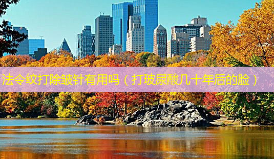 法令纹打除皱针有用吗(打玻尿酸几十年后的脸)-第1张图片-美选资讯网 法令纹打除皱针有用吗(打玻尿酸几十年后的脸)-第1张图片-美选资讯网