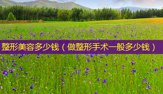 整形美容多少钱(做整形手术一般多少钱)-第1张图片-美选资讯网 整形美容多少钱(做整形手术一般多少钱)-第1张图片-美选资讯网