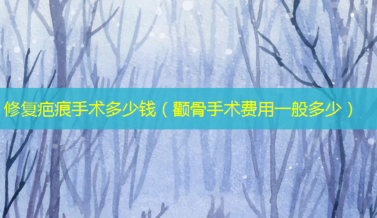 修复疤痕手术多少钱(颧骨手术费用一般多少)-第1张图片-美选资讯网 修复疤痕手术多少钱(颧骨手术费用一般多少)-第1张图片-美选资讯网